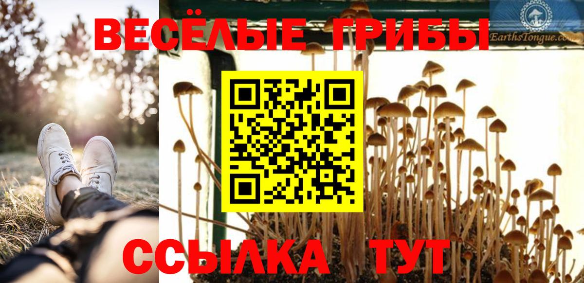 Псков  Галлюциногенные грибы MAGIC MUSHROOMS  Псилоцибиновые грибы Psilocybe  Вход с VPN 