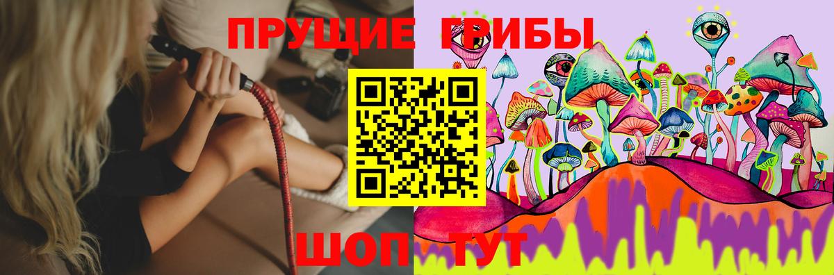 Галлюциногенные грибы GOLDEN TEACHER Псков